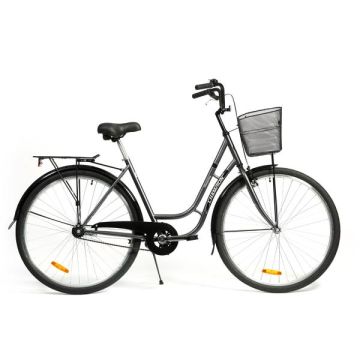 Jalgratas 28" Champion 1-käigul